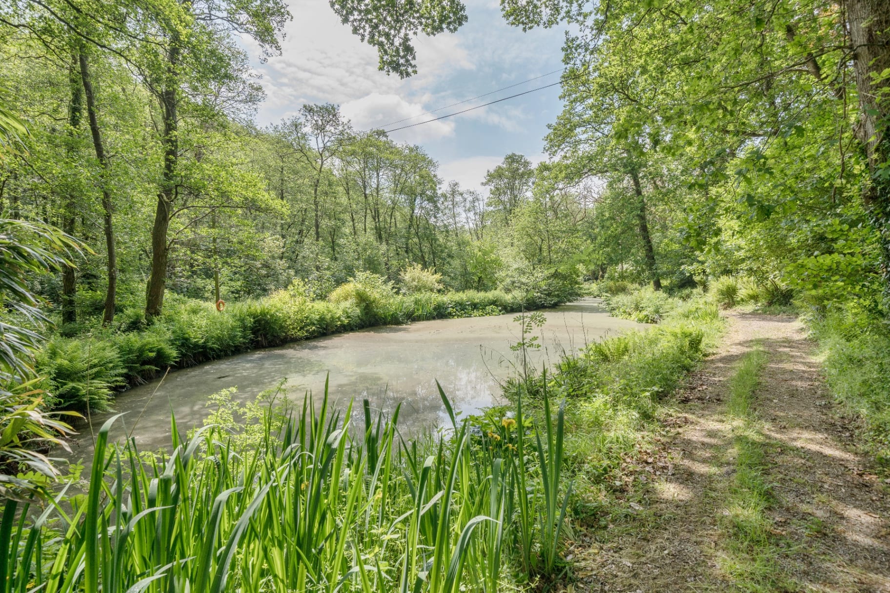 Broomhill Estate — image 4